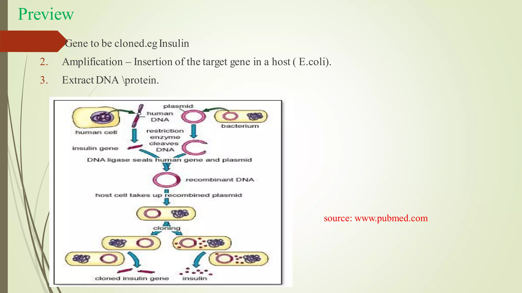 Preview
1. Gene to be cloned.egInsulin
2. Amplification – Insertion of the target gene in a host ( E.coli).
3. Extract DNA protein.
source: www.pubmed.com
 