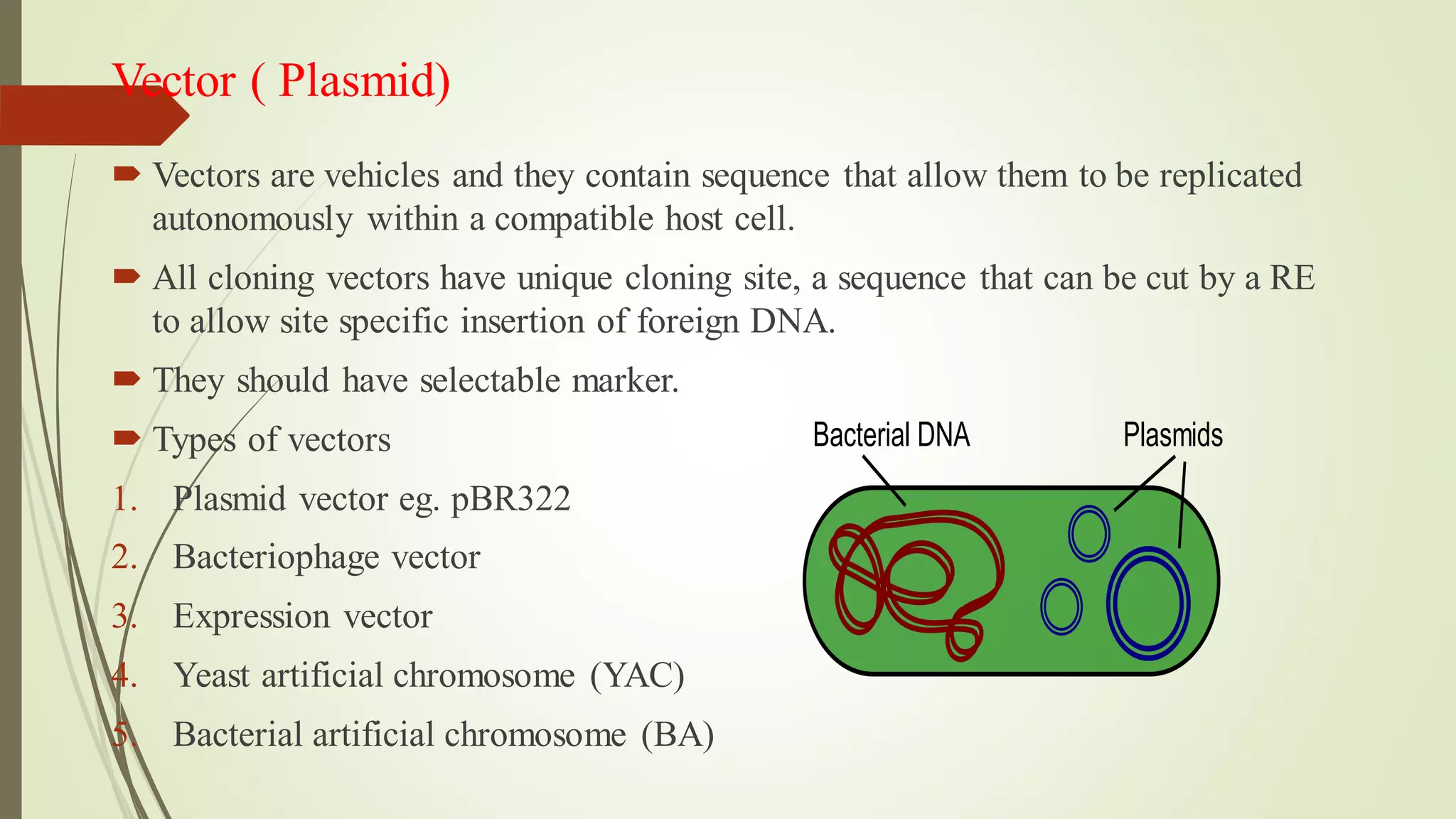 Vector ( Plasmid)
 Vectors are vehicles and they contain sequence that allow them to be replicated
autonomously within a compatible host cell.
 All cloning vectors have unique cloning site, a sequence that can be cut by a RE
to allow site specific insertion of foreign DNA.
 They should have selectable marker.
 Types of vectors
1. Plasmid vector eg. pBR322
2. Bacteriophage vector
3. Expression vector
4. Yeast artificial chromosome (YAC)
5. Bacterial artificial chromosome (BA)
 