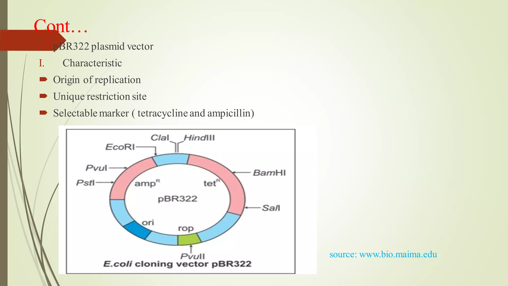 Cont…
 pBR322 plasmid vector
I. Characteristic
 Origin of replication
 Unique restriction site
 Selectablemarker ( tetracyclineand ampicillin)
source: www.bio.maima.edu
 