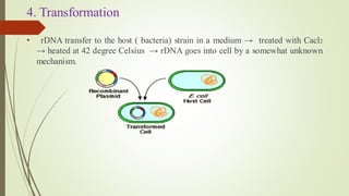 4. Transformation
• rDNA transfer to the host ( bacteria) strain in a medium → treated with Cacl2
→ heated at 42 degree Celsius → rDNA goes into cell by a somewhat unknown
mechanism.
 