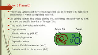 Vector ( Plasmid)
 Vectors are vehicles and they contain sequence that allow them to be replicated
autonomously within a compatible host cell.
 All cloning vectors have unique cloning site, a sequence that can be cut by a RE
to allow site specific insertion of foreign DNA.
 They should have selectable marker.
 Types of vectors
1. Plasmid vector eg. pBR322
2. Bacteriophage vector
3. Expression vector
4. Yeast artificial chromosome (YAC)
5. Bacterial artificial chromosome (BA)
 