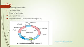 Cont…
 pBR322 plasmid vector
I. Characteristic
 Origin of replication
 Unique restriction site
 Selectablemarker ( tetracyclineand ampicillin)
source: www.bio.maima.edu
 