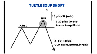 All you need to know.pdf
