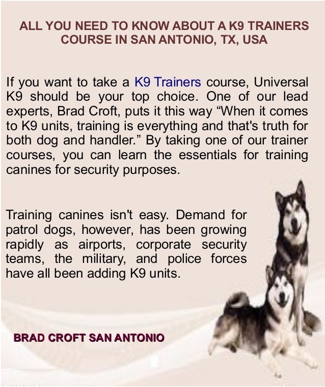 All You Need to Know About a k9 Trainers Course in San Antonio, Tx, Usa