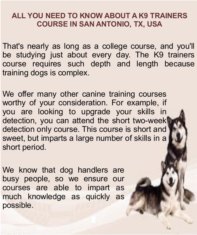 All You Need to Know About a k9 Trainers Course in San Antonio, Tx, Usa