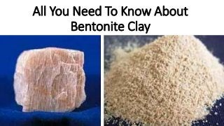 All You Need To Know About
Bentonite Clay
 