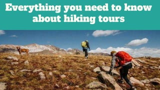 Everything you need to know
about hiking tours
 