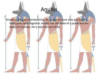 Anubis
Anubis is the god of embalming. He is also the one who put Osiris’s
  body parts back together. Anubis has the head of a jackal and the
  body of a human. He is also the son of Ra.
 