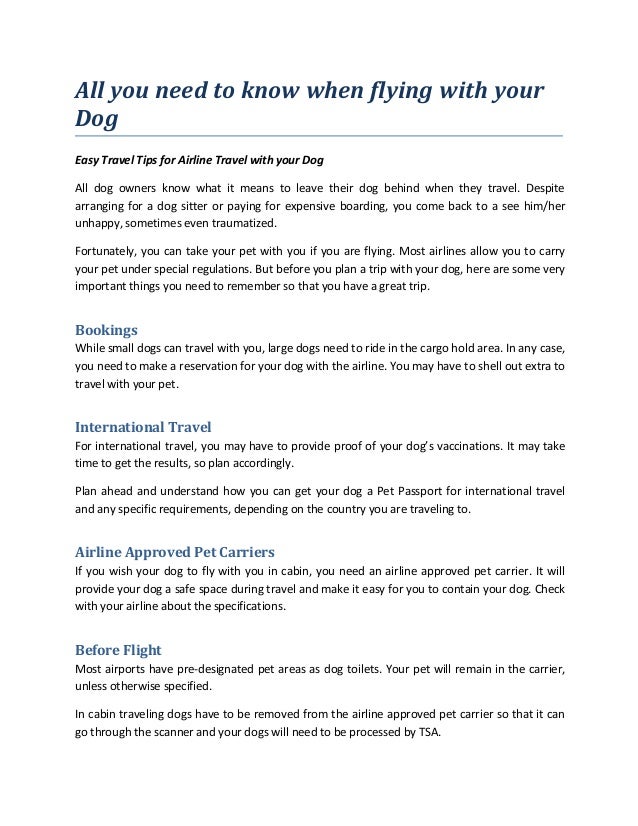 All You Need To Know When Flying With Your Dog