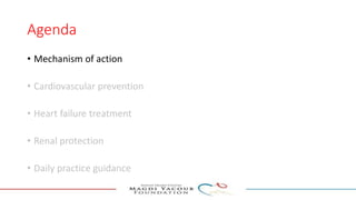 Agenda
• Mechanism of action
• Cardiovascular prevention
• Heart failure treatment
• Renal protection
• Daily practice guidance
 