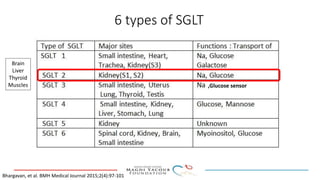 6 types of SGLT
Bhargavan, et al. BMH Medical Journal 2015;2(4):97-101
Brain
Liver
Thyroid
Muscles ,Glucose sensor
 