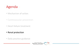 Agenda
• Mechanism of action
• Cardiovascular prevention
• Heart failure treatment
• Renal protection
• Daily practice guidance
 