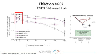Normally initial dip 5 ml/min./mm2
Effect on eGFR
(EMPEROR-Reduced trial)
Zannad et al.circulation. 2021 Jan 26;143(4):310-321
 