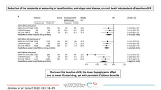 Reduction of the composite of worsening of renal function, end-stage renal disease, or renal death independent of baseline eGFR
Zelniker et al. Lancet 2019; 393: 31–39
The lower the baseline eGFR, the lower hypoglycemic effect
due to lower filtrated drug, yet with persistent CV/Renal benefits
 