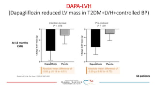 DAPA-LVH
(Dapagliflozin reduced LV mass in T2DM+LVH+controlled BP)
At 12 months
CMR
66 patients
 