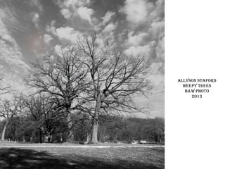 Allyson staford
weepy trees
b&w photo
2013

 