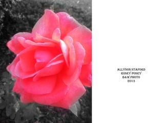 Allyson staford
rosey posey
b&w PHOTO
2013

 