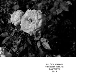 Allyson staford
uhh rosey posey 2
b&w photo
2013

 