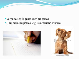  A mi patico le gusta escribir cartas.
 También, mi patico le gusta escucha música.
 