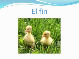 El fin
 
