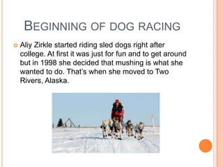 BEGINNING OF DOG RACING
 Aliy Zirkle started riding sled dogs right after
college. At first it was just for fun and to get around
but in 1998 she decided that mushing is what she
wanted to do. That’s when she moved to Two
Rivers, Alaska.
 