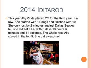 2014 IDITAROD
 This year Aliy Zirkle placed 2nd for the third year in a
row. She started with 16 dogs and finished with 10.
She only lost by 2 minutes against Dallas Seavey
but she did set a PR with 8 days 13 hours 6
minutes and 41 seconds. The whole race Aliy
stayed in the top 9. She did awesome!!
 