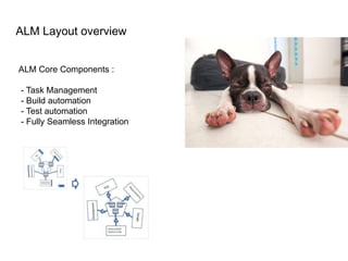 ALM At A Glance | PPTX