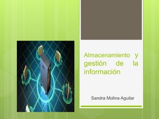 Sandra Molina Aguilar
Almacenamiento y
gestión de la
información
 