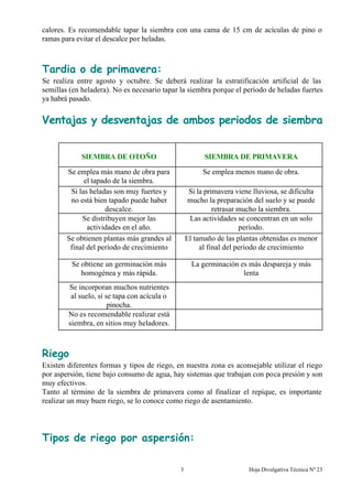 Hoja Divulgativa Técnica Nº 233
calores. Es recomendable tapar la siembra con una cama de 15 cm de acículas de pino o
ramas para evitar el descalce por heladas.
Tardia o de primavera:
Se realiza entre agosto y octubre. Se deberá realizar la estratificación artificial de las
semillas (en heladera). No es necesario tapar la siembra porque el período de heladas fuertes
ya habrá pasado.
Ventajas y desventajas de ambos periodos de siembra
SIEMBRA DE OTOÑO SIEMBRA DE PRIMAVERA
Se emplea más mano de obra para
el tapado de la siembra.
Se emplea menos mano de obra.
Si las heladas son muy fuertes y
no está bien tapado puede haber
descalce.
Si la primavera viene lluviosa, se dificulta
mucho la preparación del suelo y se puede
retrasar mucho la siembra.
Se distribuyen mejor las
actividades en el año.
Las actividades se concentran en un solo
período.
Se obtienen plantas más grandes al
final del período de crecimiento
El tamaño de las plantas obtenidas es menor
al final del período de crecimiento
Se obtiene un germinación más
homogénea y más rápida.
La germinación es más despareja y más
lenta
Se incorporan muchos nutrientes
al suelo, si se tapa con acícula o
pinocha.
No es recomendable realizar está
siembra, en sitios muy heladores.
Riego
Existen diferentes formas y tipos de riego, en nuestra zona es aconsejable utilizar el riego
por aspersión, tiene bajo consumo de agua, hay sistemas que trabajan con poca presión y son
muy efectivos.
Tanto al término de la siembra de primavera como al finalizar el repique, es importante
realizar un muy buen riego, se lo conoce como riego de asentamiento.
Tipos de riego por aspersión:
 