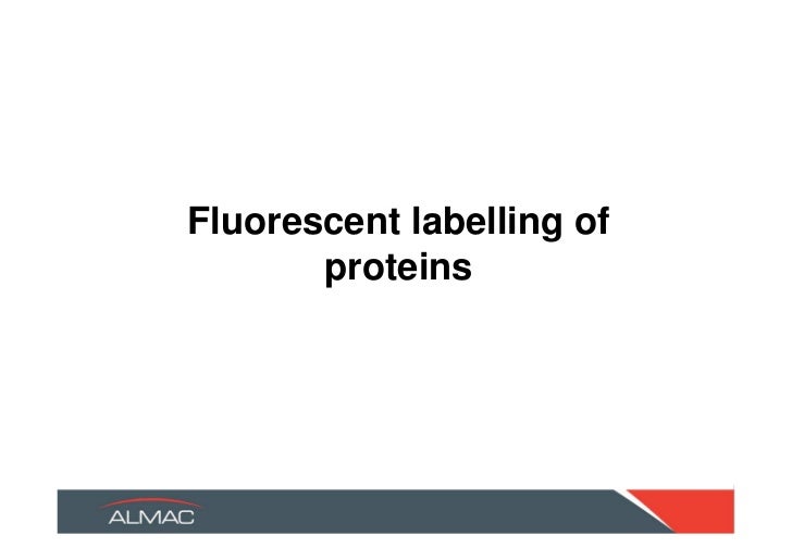 semisynthesis of proteins by expressed protein ligation – protein semisynthesis – chemical ligation of unprotected peptides semisynthesis of proteins by expressed protein ligation. semisynthesis of proteins by expressed protein ligation – protein semisynthesis – chemical ligation of unprotected peptides semisynthesis of proteins by expressed protein ligation.