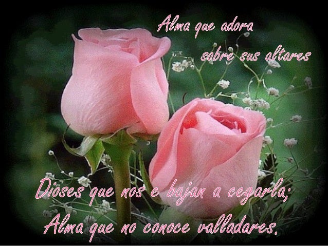 Imagen relacionada