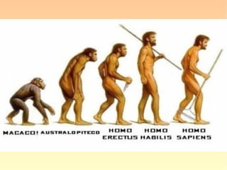 Há diferença significativa entre nós, os se-
res humanos, e os camundongos?
 