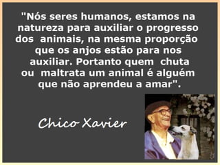 607. b) Esse período de humanização prin-
cipia na Terra?
“A Terra não é o ponto de partida da primei
ra encarnação humana. O período da huma
nização começa, geralmente, em mundos
ainda inferiores à Terra. Isto, entretanto,
não constitui regra absoluta, pois pode su-
ceder que um Espírito, desde o seu início
humano, esteja apto a viver na Terra. Não é
frequente o caso; constitui antes uma ex-
ceção.”
 