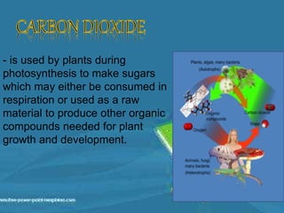 - is used by plants during
photosynthesis to make sugars
which may either be consumed in
respiration or used as a raw
material to produce other organic
compounds needed for plant
growth and development.
 