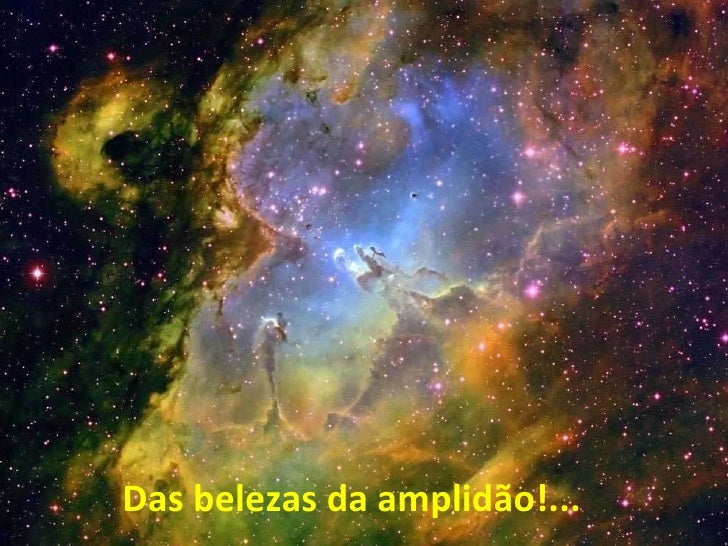 Resultado de imagem para voa coraÃ§Ã£o com alma