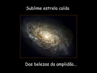 Sublime estrela caída Das belezas da amplidão... 