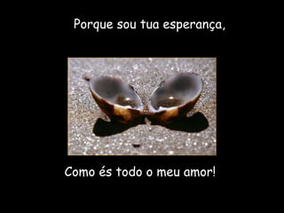 Porque sou tua esperança, Como és todo o meu amor! 