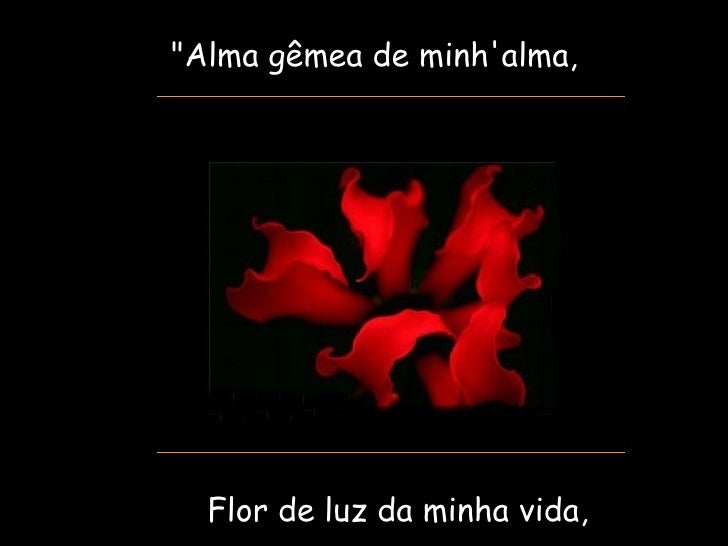 Resultado de imagem para minha alma em flor
