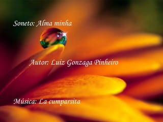 Soneto: Alma minha



     Autor: Luiz Gonzaga Pinheiro



Música: La cumparsita
 
