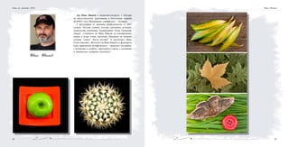 4544
Д-р Иван Иванов е лекар-анестезиолог в Катедра
по анестезиология, реанимация и интензивна терапия
(КАРИТ) към Медицински университет - Пловдив.
С фотография се занимава професионално от 2007
година. Негови снимки ползват рекламни агенции,
издателства, печатници. Художничката Текла Алексиева
твърди: „Снимките на Иван Иванов са едновременно
нежни и остро точни, поетични. Напомнят на японски
стихове "танка". Чиста поезия!” А скулпторът Иван
Тотев пояснява: „Фотосите на Иван Иванов са фиксирали
една хармонична метафизичност - прецизно ситуирани,
с вглеждане в детайла, структурата и цвета, с деликатна
и внимателно дозирана ететичност.”
Иван Иванов
Нощ на учените 2010 Иван Иванов
 