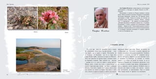 70 71
Цвете
Живот
Устието
на р. Велека
Мая Урумова
Стефан Илчевски
Д-р Стефан Илчевски е лекар невролог, дългогодишен
преподавател в Катедра по нервни болести на МУ -
Пловдив.
Вдъхновява го магията на Родопа планина и всичко
родно. Обича музиката и поезията. Ръководи 14 самодейни
фолклорни формации, записва над 150 народни песни,
депозирани в БАН. Автор на музика по стихове на
български поети. Написал е книгите: „Чилов – жизнен
път”; в съавторство – „За здравето на родопчанина”;
„История (бележки) от близкото минало на с. Гълъбово,
Пловдивско” и книга с разкази под псевдонима Стефан
Добрин - „Мраве пътека”. Разностранно развита личност,
надниква и докосва всяко кътче в душата на родопчанина,
за да разкрие огромния потенциал от мъдрост, красота
и сила на българския дух.
Стръмно друме
То е на три часа от голямото село в яката
на планината, изпълзяло нагоре-нагоре - току
под върха, да се скрие в гората. Погледнеш ли
го отсреща - от Буковака - ще ти се стори като
стара бозева торба, увиснала на върха на Шилото.
Лете пък прилича на кръпка върху зелената снага
на боровата планина. През средата му - надлъж
- минава път и го дели на горна и долна махали.
Между двете, отляво под пътя, е единствената за
селото стара-престара чешма - за люде и всякаква
живина. Сега вече старият път е шосе, което води
към вилите по темето на върха. Ала шосе е само
лете, когато от време на време в събота или неделя
прехвърча някоя лека кола. Иначе, за селото, си
е обикновен път. Погледнат отдалече, прилича на
голяма напукана в лятна жега пукнатина. Усойката,
в която е сгушено, го пази от северния вятър.
Когато той задуха, бориките и елите започват глухо
и тревожно да шушукат, ту стихват, ту отново
завият и се носят на вълни на вълни, за да се
укротят в близкия дол. Сегашните друмелии с тъга
си спомнят за онова старо време, препредавано от
деди и прадеди, когато напролет безброй стада се
нижели към върха за паша, или наесен - надолу
към по-топлото, за презимуване. Още се помни
оная тъжна песен от времето на поганците:
Нощ на учените 2010
 