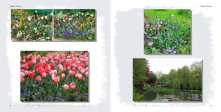 7978
Стойко Паунов Стойко Паунов
 