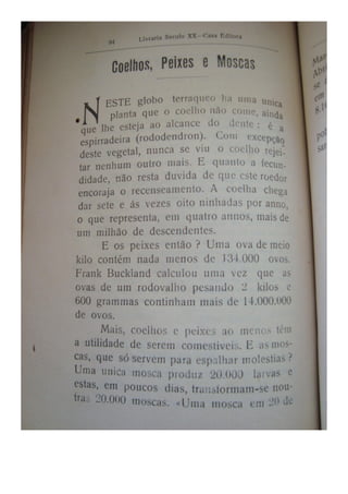 Almanaque Uberabense de 1910