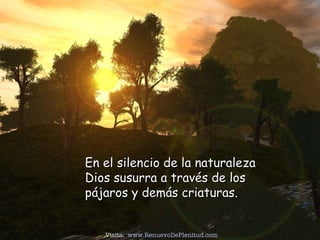 En el silencio de la naturaleza Dios susurra a través de los  pájaros y demás criaturas. Visita:  www.RenuevoDePlenitud.com 