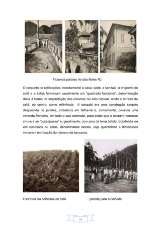 43
Fazenda paraíso rio das flores RJ
O conjunto de edificações, notadamente a casa- sede, a senzala, o engenho de
café e a tulha, formavam usualmente um “quadrado funcional”, denominação
dada à forma de implantação das mesmas no sítio natural, tendo o terreiro de
café, ao centro, como referência A senzala era uma construção simples
desprovida de janelas, cobertura em telha-vã e, comumente, possuía uma
varanda fronteira, em toda a sua extensão, para evitar que o escravo tomasse
chuva e se “constipasse” e, geralmente, com piso de terra batida. Subdividia-se
em cubículos ou celas, denominadas lances, cuja quantidade e dimensões
variavam em função do número de escravos.
Escravos na colheitas de café partida para a colheita
 