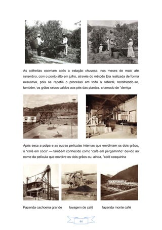 44
As colheitas ocorriam após a estação chuvosa, nos meses de maio até
setembro, com o ponto alto em julho, através do método Era realizada de forma
exaustiva, pois se repetia o processo em todo o cafezal, recolhendo-se,
também, os grãos secos caídos aos pés das plantas. chamado de “derriça
Após seca a polpa e as outras películas internas que envolviam os dois grãos,
o “café em coco” — também conhecido como “café em pergaminho” devido ao
nome da película que envolve os dois grãos ou, ainda, “café casquinha
Fazenda cachoeira grande lavagem de café fazenda monte café
 