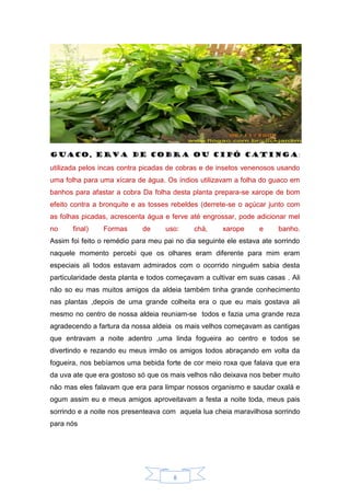 8
GUACO, ERVA DE COBRA ou CIPÓ CATINGA:
utilizada pelos incas contra picadas de cobras e de insetos venenosos usando
uma folha para uma xícara de água. Os índios utilizavam a folha do guaco em
banhos para afastar a cobra Da folha desta planta prepara-se xarope de bom
efeito contra a bronquite e as tosses rebeldes (derrete-se o açúcar junto com
as folhas picadas, acrescenta água e ferve até engrossar, pode adicionar mel
no final) Formas de uso: chá, xarope e banho.
Assim foi feito o remédio para meu pai no dia seguinte ele estava ate sorrindo
naquele momento percebi que os olhares eram diferente para mim eram
especiais ali todos estavam admirados com o ocorrido ninguém sabia desta
particularidade desta planta e todos começavam a cultivar em suas casas . Ali
não so eu mas muitos amigos da aldeia também tinha grande conhecimento
nas plantas ,depois de uma grande colheita era o que eu mais gostava ali
mesmo no centro de nossa aldeia reuniam-se todos e fazia uma grande reza
agradecendo a fartura da nossa aldeia os mais velhos começavam as cantigas
que entravam a noite adentro ,uma linda fogueira ao centro e todos se
divertindo e rezando eu meus irmão os amigos todos abraçando em volta da
fogueira, nos bebíamos uma bebida forte de cor meio roxa que falava que era
da uva ate que era gostoso só que os mais velhos não deixava nos beber muito
não mas eles falavam que era para limpar nossos organismo e saudar oxalá e
ogum assim eu e meus amigos aproveitavam a festa a noite toda, meus pais
sorrindo e a noite nos presenteava com aquela lua cheia maravilhosa sorrindo
para nós
 