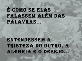 É como se elas falassem além das palavras... Entendessem a tristeza do outro, a alegria e o desejo... 