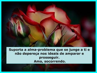 Suporta a alma-problema que se junge a ti e
   não depereça nos ideais de amparar e
               prosseguir.
             Ama, socorrendo.
 
