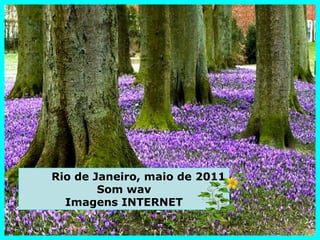 Rio de Janeiro, maio de 2011
        Som wav
  Imagens INTERNET
 